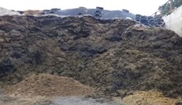 Ayrshire: Clamp silage slippage and optimising home grown forage